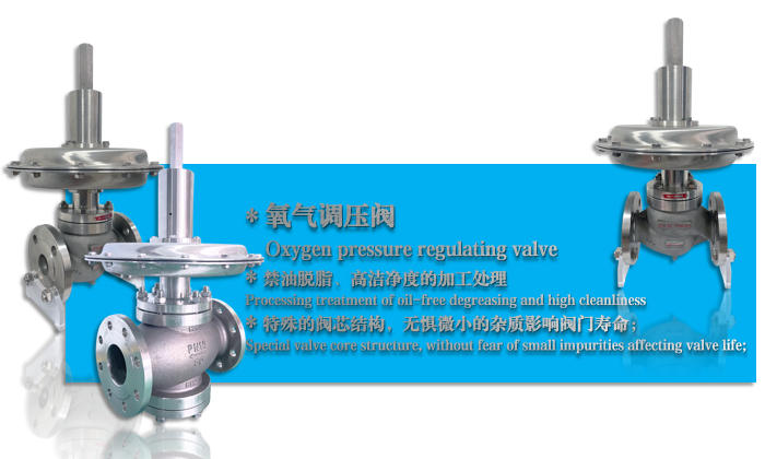 自力式减压阀（氧气专用）丨自力式调压阀丨自力式控制阀-杭州海沃